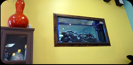Affinity Salons wall tank is built into the wall and features a variety of fish that can be seen from the front and back of tank.